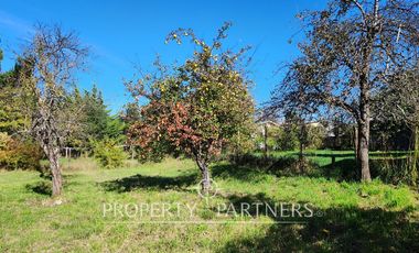 Media Ha en Malalhue sector Contra Bajo