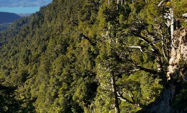 Campo 1694 ha al sur de Puelo, cerro Yates, Cochamó