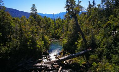 Campo 1694 ha al sur de Puelo, cerro Yates, Cochamó
