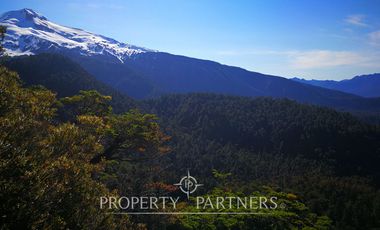 Campo 1694 ha al sur de Puelo, cerro Yates, Cochamó