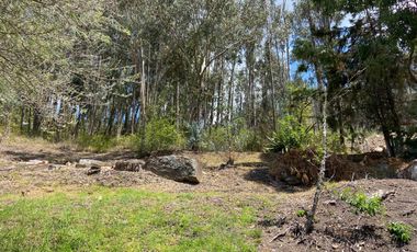 HERMOSA QUINTA EN VENTA, SECTOR UZHUPUD