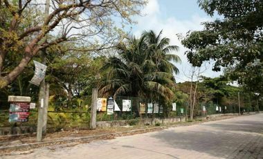 TERRENO EN RENTA CD. DEL CARMEN