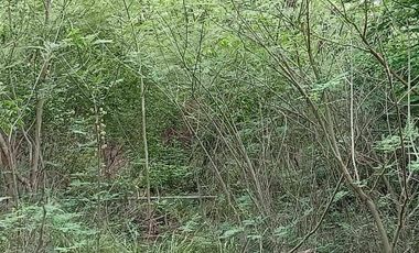 TERRENO EN VENTA EN RANCHO LAS GAVIOTAS EN CD. DEL CARMEN