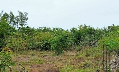 TERRENO EN VENTA EN RANCHO LAS GAVIOTAS EN CD. DEL CARMEN