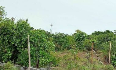 TERRENO EN VENTA EN RANCHO LAS GAVIOTAS EN CD. DEL CARMEN