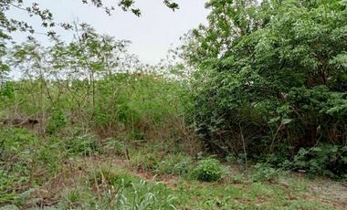 TERRENO EN VENTA EN RANCHO LAS GAVIOTAS EN CD. DEL CARMEN