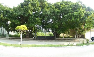 TERRENO EN RENTA AV. CASTELLOT EN CD. DEL CARMEN