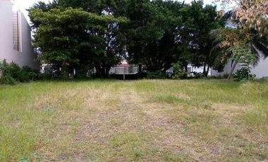 TERRENO EN RENTA AV. CASTELLOT EN CD. DEL CARMEN