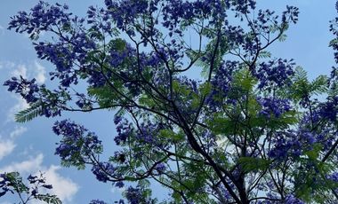 CASA EN VENTA REAL DE HACIENDA VALLESCONDIDO