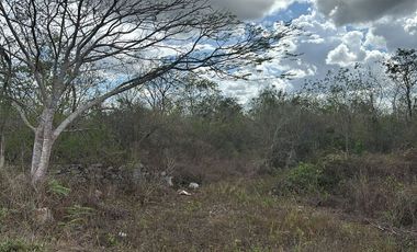 Terreno en Tixpehual