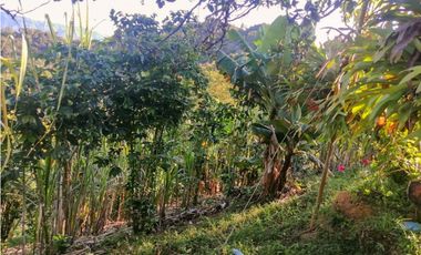 Finca en yolombo vereda marquesa