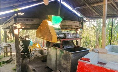 Finca en yolombo vereda marquesa