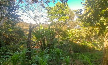 Finca en yolombo vereda marquesa