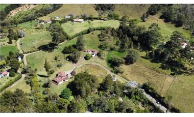 vendo finca la Ceja Antioquia, vía a llano grande 2,7 hectáreas