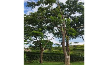 Venta De Finca En Sopetran