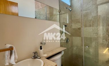 Magnífico Pent-house amueblado con roof garden en la Colonia Del Valle Sur