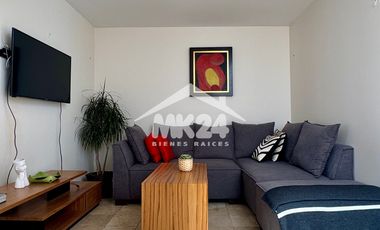 Magnífico Pent-house amueblado con roof garden en la Colonia Del Valle Sur