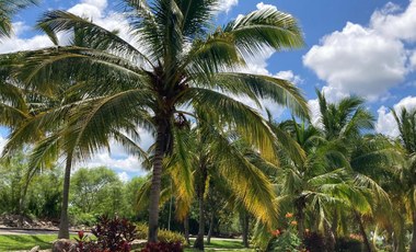 Facilidades de pago en lote en venta en Residencial Aldea Conkal, Yaxkukul.