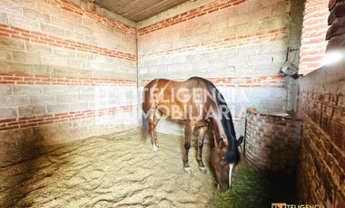RANCHO  EN VENTA UBICADO EN LA RESURRECCIÓN