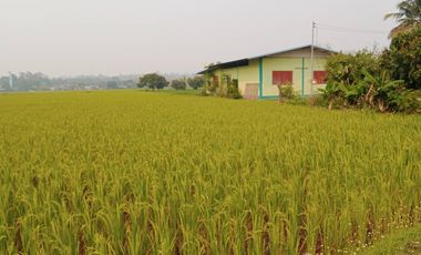 Land for sale in Mae Faek Mai, Chiang Mai