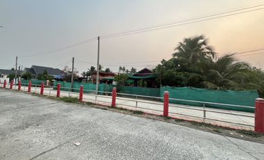 Land for sale in Nong Han, Chiang Mai