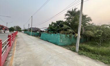 Land for sale in Nong Han, Chiang Mai