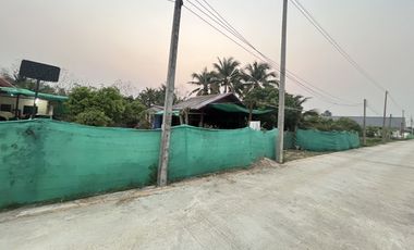 Land for sale in Nong Han, Chiang Mai