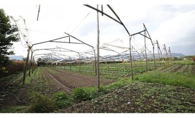 Venta Finca Con casa en Cajica