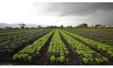 Venta Finca Con casa en Cajica