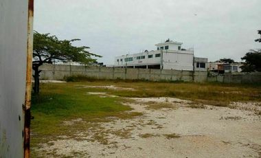 TERRENO EN RENTA CALLE 67 EN CD DEL CARMEN