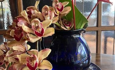 Vendo terreno / lote con casa en Parcelacion Vegas de Guadalcanal