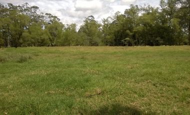 Vendo terreno / lote con casa en Parcelacion Vegas de Guadalcanal