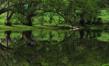 Vendo terreno / lote con casa en Parcelacion Vegas de Guadalcanal