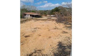PENONOME / TERRENO PARA EDIFICACION / 6270m2 / CERCA VIA PRINCIPAL
