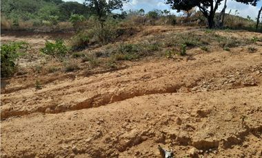 PENONOME / TERRENO PARA EDIFICACION / 6270m2 / CERCA VIA PRINCIPAL