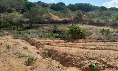 PENONOME / TERRENO PARA EDIFICACION / 6270m2 / CERCA VIA PRINCIPAL