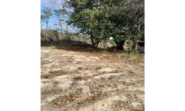 PENONOME / TERRENO PARA EDIFICACION / 6270m2 / CERCA VIA PRINCIPAL