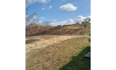 PENONOME / TERRENO PARA EDIFICACION / 6270m2 / CERCA VIA PRINCIPAL