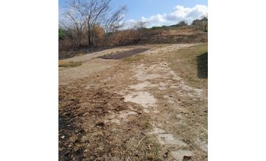 PENONOME / TERRENO PARA EDIFICACION / 6270m2 / CERCA VIA PRINCIPAL