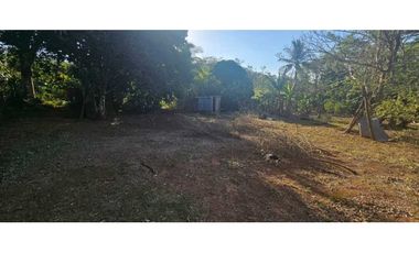 VENDO LOTE DE 2133 METROS EN PORTACHUELO