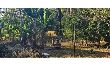 VENDO LOTE DE 2133 METROS EN PORTACHUELO