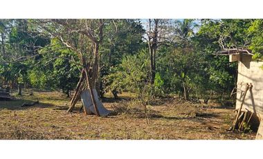 VENDO LOTE DE 2133 METROS EN PORTACHUELO