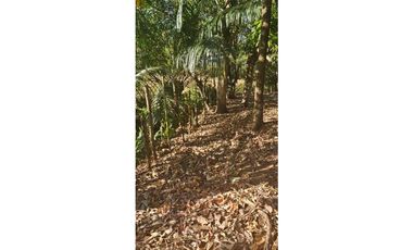 VENDO LOTE DE 2133 METROS EN PORTACHUELO