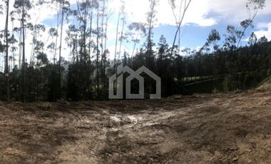 TERRENO EN VENTA SECTOR REDONDEL VIA CUMBE- GIRON PASAJE