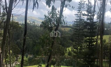 TERRENO EN VENTA SECTOR REDONDEL VIA CUMBE- GIRON PASAJE