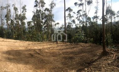 TERRENO EN VENTA SECTOR REDONDEL VIA CUMBE- GIRON PASAJE