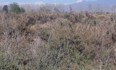 Terreno en venta en El Algarrobal, Las Heras