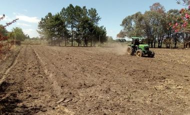 VENTA TERRENO 7 HECTAREAS EN LA CAPILLA F.VARELA
