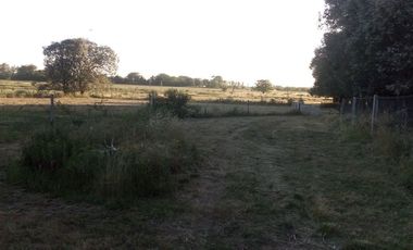 VENTA TERRENO 7 HECTAREAS EN LA CAPILLA F.VARELA