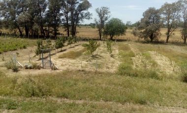 VENTA TERRENO 7 HECTAREAS EN LA CAPILLA F.VARELA